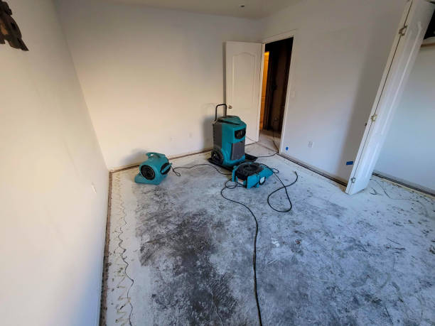 Best 24/7 water damage repair  in Corralitos, CA