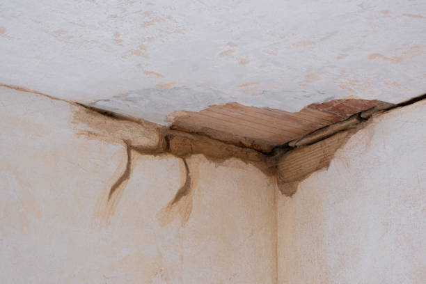 Best Flood restoration services  in Corralitos, CA