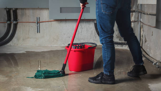 Best Ceiling water damage repair  in Corralitos, CA