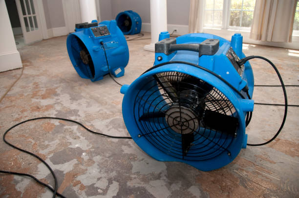 Best Water damage restoration near me  in Corralitos, CA