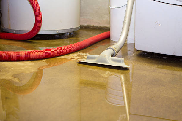 Best Water damage restoration process  in Corralitos, CA