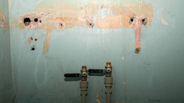 Best Carpet water damage restoration  in Corralitos, CA