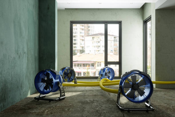 Best Carpet water damage restoration  in Corralitos, CA